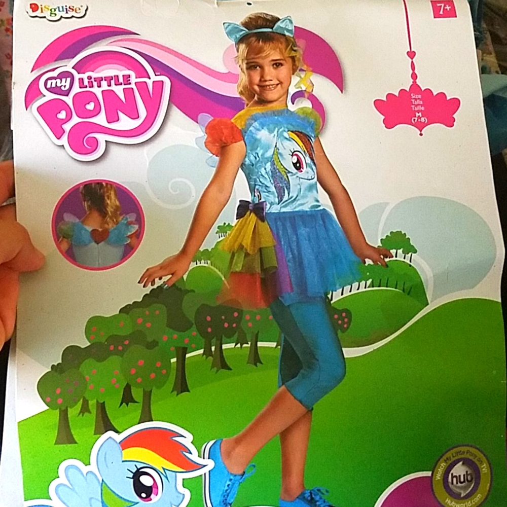Rainbow Dash Costume